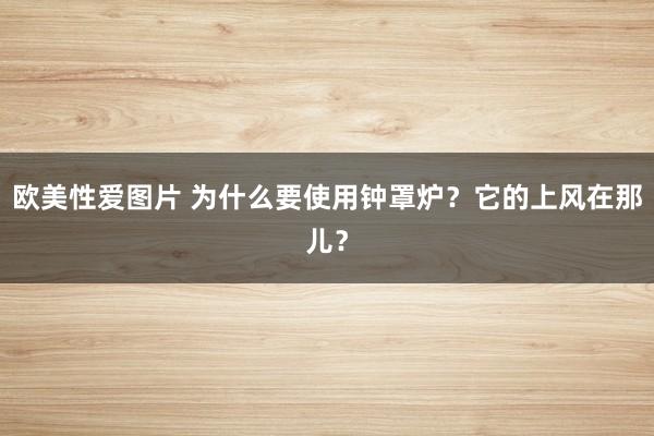 欧美性爱图片 为什么要使用钟罩炉？它的上风在那儿？