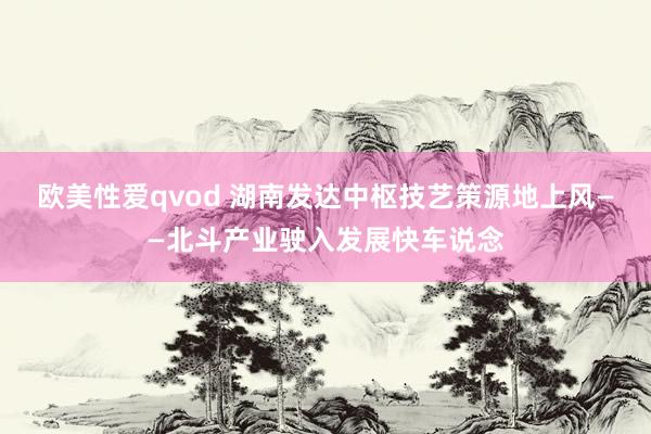 欧美性爱qvod 湖南发达中枢技艺策源地上风——北斗产业驶入发展快车说念