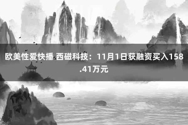 欧美性爱快播 西磁科技：11月1日获融资买入158.41万元