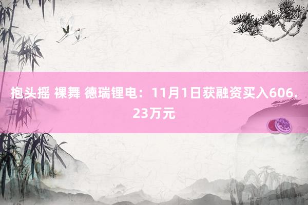 抱头摇 裸舞 德瑞锂电：11月1日获融资买入606.23万元