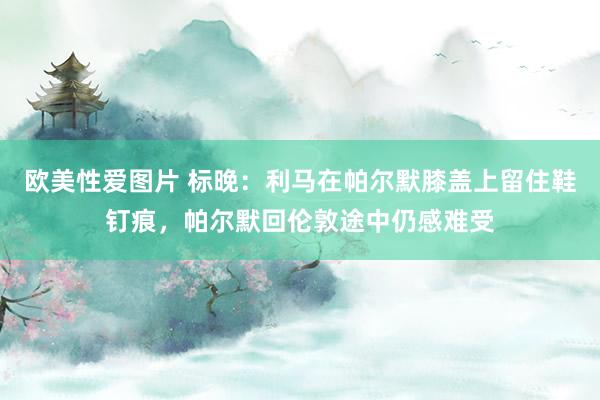 欧美性爱图片 标晚：利马在帕尔默膝盖上留住鞋钉痕，帕尔默回伦敦途中仍感难受