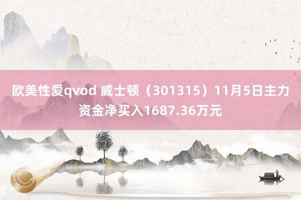 欧美性爱qvod 威士顿（301315）11月5日主力资金净买入1687.36万元