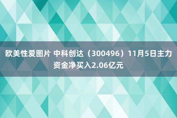 欧美性爱图片 中科创达（300496）11月5日主力资金净买入2.06亿元