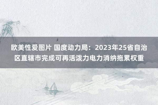 欧美性爱图片 国度动力局：2023年25省自治区直辖市完成可再活泼力电力消纳拖累权重