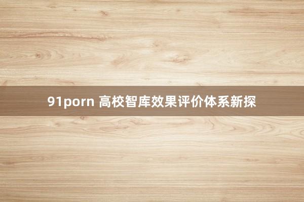 91porn 高校智库效果评价体系新探