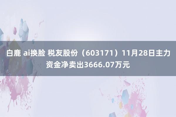 白鹿 ai换脸 税友股份（603171）11月28日主力资金净卖出3666.07万元