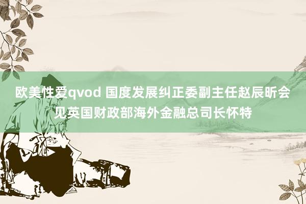 欧美性爱qvod 国度发展纠正委副主任赵辰昕会见英国财政部海外金融总司长怀特