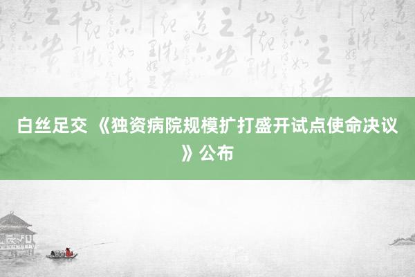 白丝足交 《独资病院规模扩打盛开试点使命决议》公布