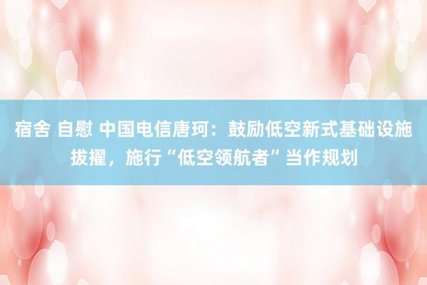 宿舍 自慰 中国电信唐珂：鼓励低空新式基础设施拔擢，施行“低空领航者”当作规划