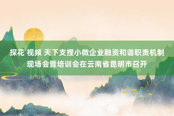 探花 视频 天下支捏小微企业融资和谐职责机制现场会暨培训会在云南省昆明市召开