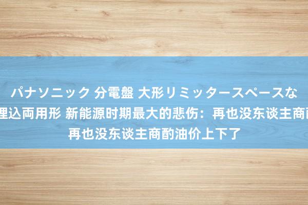 パナソニック 分電盤 大形リミッタースペースなし 露出・半埋込両用形 新能源时期最大的悲伤：再也没东谈主商酌油价上下了