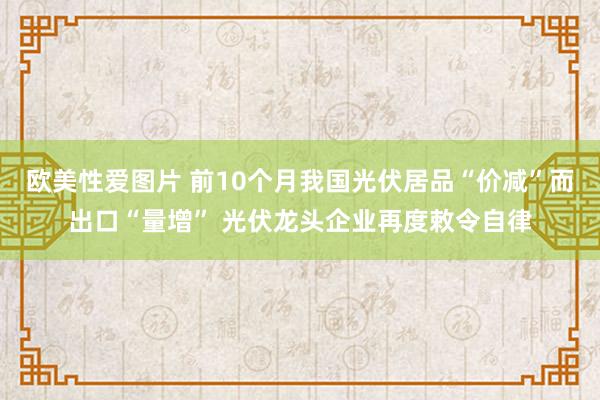 欧美性爱图片 前10个月我国光伏居品“价减”而出口“量增” 光伏龙头企业再度敕令自律