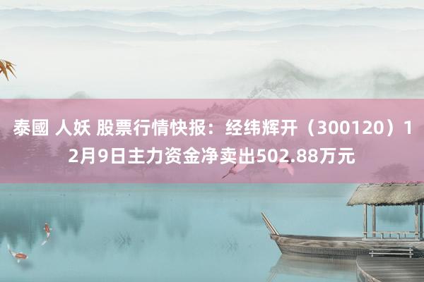 泰國 人妖 股票行情快报：经纬辉开（300120）12月9日主力资金净卖出502.88万元