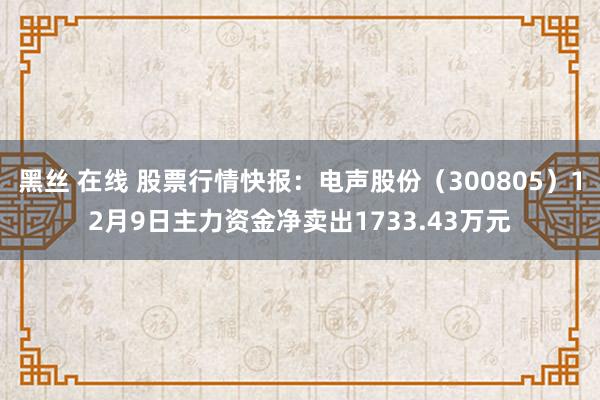 黑丝 在线 股票行情快报：电声股份（300805）12月9日主力资金净卖出1733.43万元