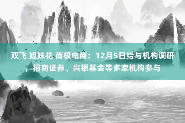 双飞 姐妹花 南极电商：12月5日给与机构调研，招商证券、兴银基金等多家机构参与