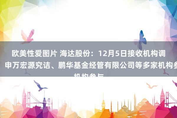 欧美性爱图片 海达股份：12月5日接收机构调研，申万宏源究诘、鹏华基金经管有限公司等多家机构参与