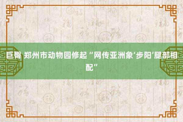 巨臀 郑州市动物园修起“网传亚洲象‘步阳’腿部相配”