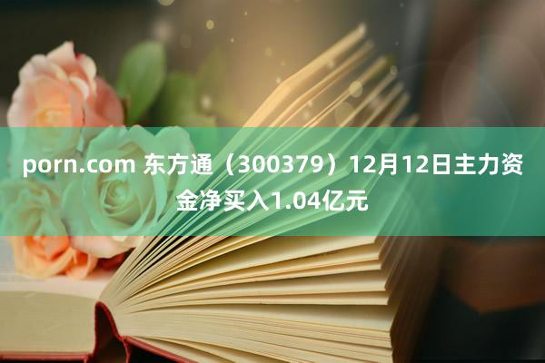 porn.com 东方通（300379）12月12日主力资金净买入1.04亿元