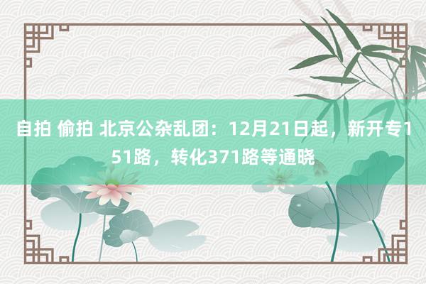 自拍 偷拍 北京公杂乱团：12月21日起，新开专151路，转化371路等通晓