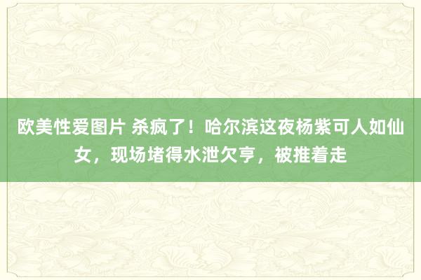 欧美性爱图片 杀疯了！哈尔滨这夜杨紫可人如仙女，现场堵得水泄欠亨，被推着走