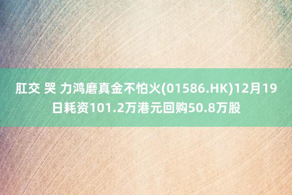 肛交 哭 力鸿磨真金不怕火(01586.HK)12月19日耗资101.2万港元回购50.8万股