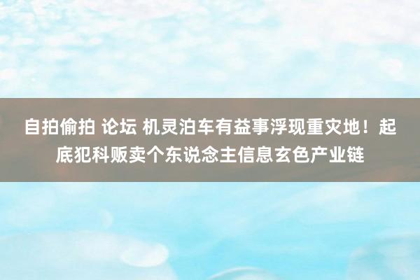 自拍偷拍 论坛 机灵泊车有益事浮现重灾地！起底犯科贩卖个东说念主信息玄色产业链