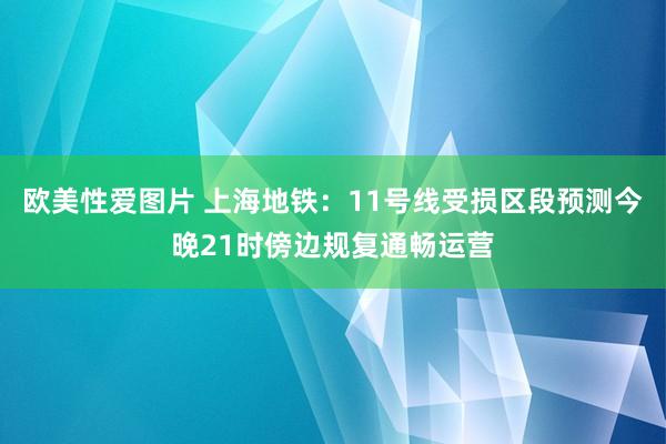 欧美性爱图片 上海地铁：11号线受损区段预测今晚21时傍边规复通畅运营