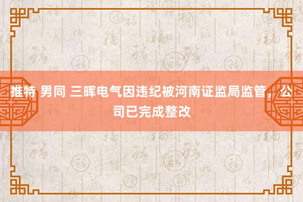 推特 男同 三晖电气因违纪被河南证监局监管，公司已完成整改