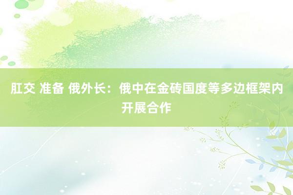 肛交 准备 俄外长：俄中在金砖国度等多边框架内开展合作