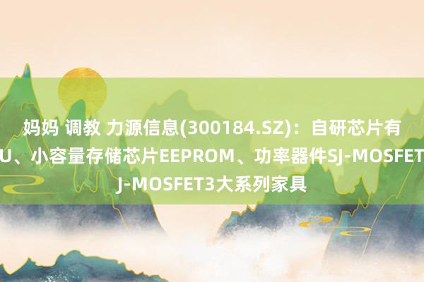 妈妈 调教 力源信息(300184.SZ)：自研芯片有微惩处器MCU、小容量存储芯片EEPROM、功率器件SJ-MOSFET3大系列家具