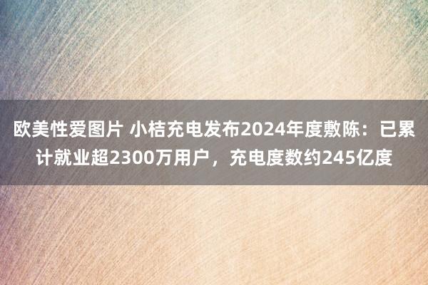 欧美性爱图片 小桔充电发布2024年度敷陈：已累计就业超2300万用户，充电度数约245亿度