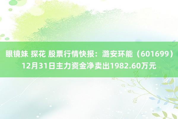 眼镜妹 探花 股票行情快报：潞安环能（601699）12月31日主力资金净卖出1982.60万元