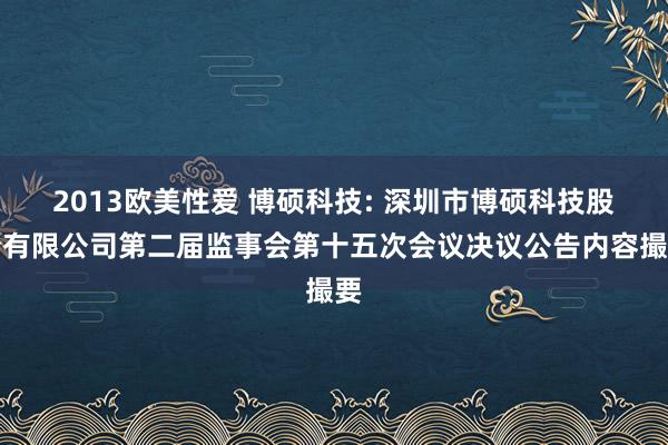 2013欧美性爱 博硕科技: 深圳市博硕科技股份有限公司第二届监事会第十五次会议决议公告内容撮要