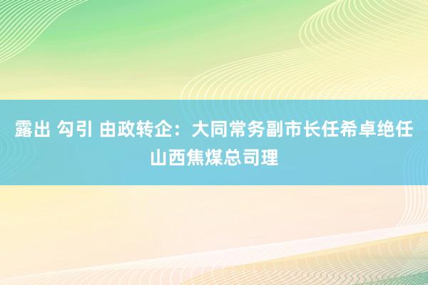 露出 勾引 由政转企：大同常务副市长任希卓绝任山西焦煤总司理