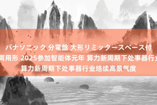 パナソニック 分電盤 大形リミッタースペース付 露出・半埋込両用形 2025参加智能体元年 算力新周期下处事器行业络续高景气度