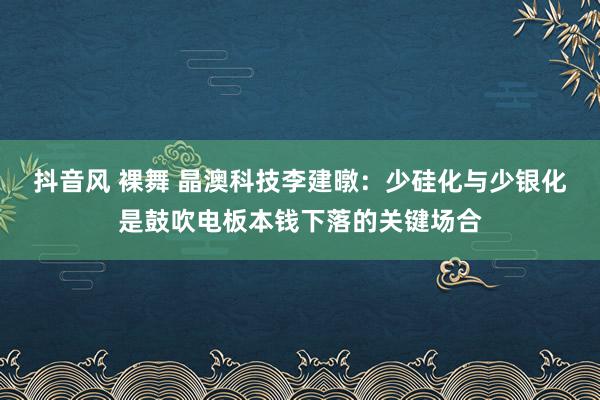 抖音风 裸舞 晶澳科技李建暾：少硅化与少银化是鼓吹电板本钱下落的关键场合