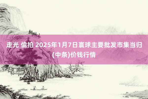 走光 偷拍 2025年1月7日寰球主要批发市集当归(中条)价钱行情